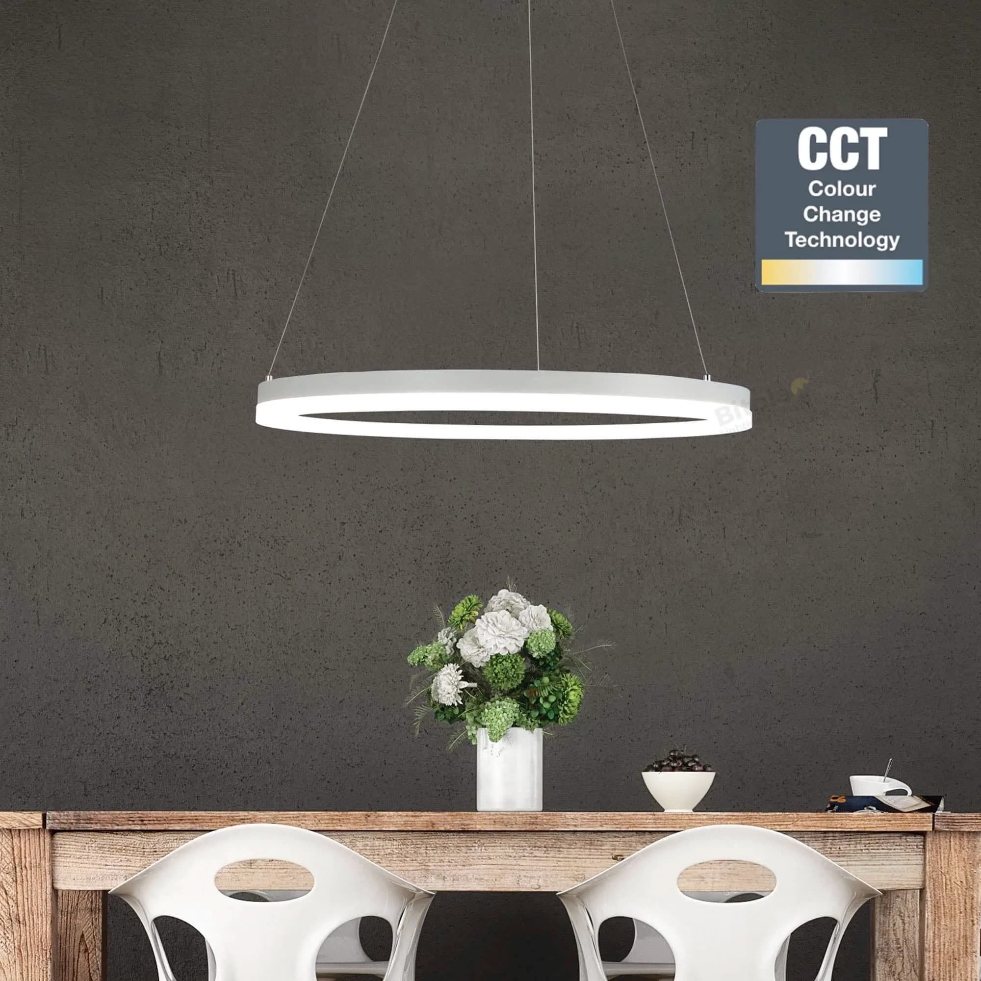 Ceiling Lights