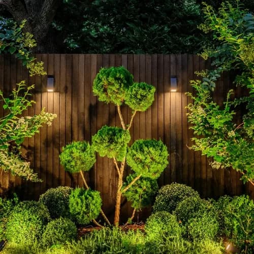 Garden Lights